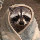 RACCOONS